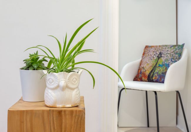 Apartamento en San Sebastián - SUSTRAIA Apartamento en San Sebastián - SUSTRAIA