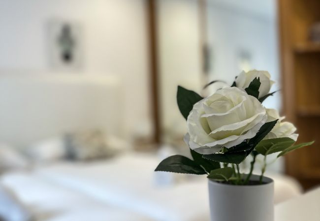 Apartamento en San Sebastián - OLAS DE ONDARRETA Apartamento en San Sebastián - OLAS DE ONDARRETA