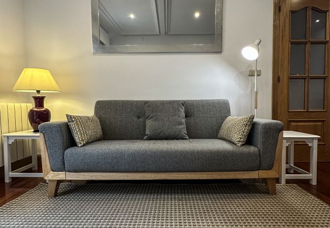Apartamento en San Sebastián - OLAS DE ONDARRETA Apartamento en San Sebastián - OLAS DE ONDARRETA
