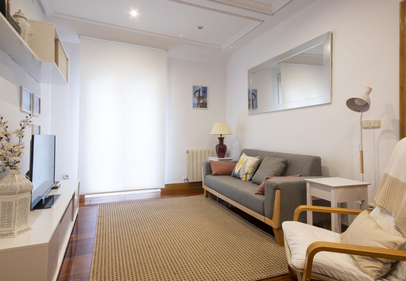 Apartment in San Sebastián - OLAS DE ONDARRETA